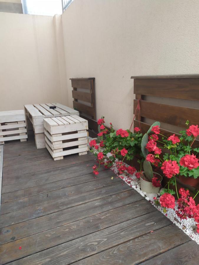 Spa Lux Apartmani Novi Sad Habitación foto